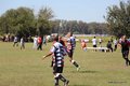 IMG_2817
