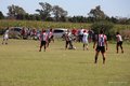 IMG_2981