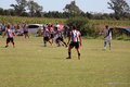 IMG_2982
