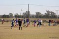 IMG_3595