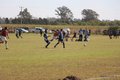 IMG_3633