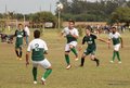 IMG_3965