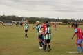 IMG_3930