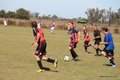 IMG_4276