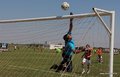 IMG_7264