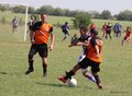 IMG_7377