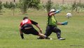 IMG_7433