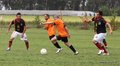 IMG_7555
