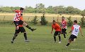 IMG_7950