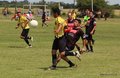 IMG_7890