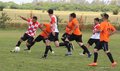 IMG_7953