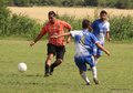 IMG_8715