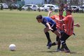 IMG_9365