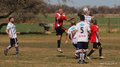 IMG_1224