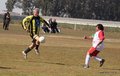 IMG_1447