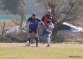 IMG_1392