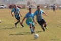 IMG_1341