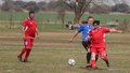 IMG_1778