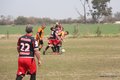 IMG_1817