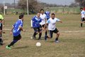 IMG_1857