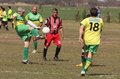 IMG_2930