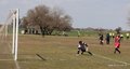 IMG_2934