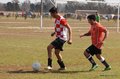 IMG_3065