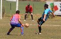IMG_3466
