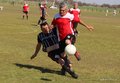 IMG_3516