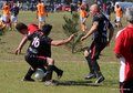IMG_3518