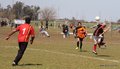 IMG_3371