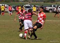 IMG_5965