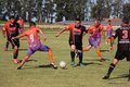 IMG_8536