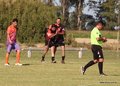 IMG_8532