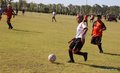 IMG_8833