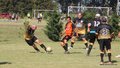 IMG_8929