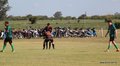 IMG_8894