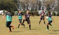 IMG_4115