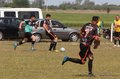 IMG_4104