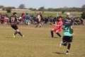 IMG_4127