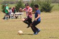 IMG_3939