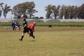 IMG_4436