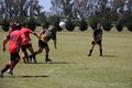 IMG_4508
