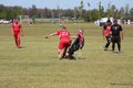 IMG_4610
