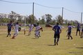 IMG_4463