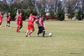 IMG_4604