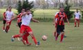 IMG_4786