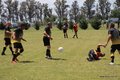 IMG_4676