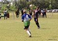 IMG_4775