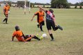 IMG_5049
